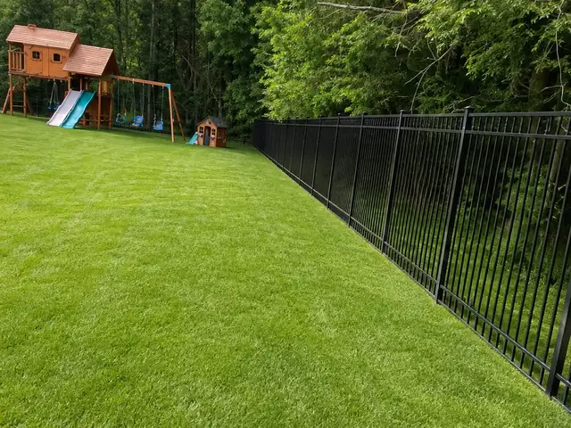 Aluminum Ornamental Fence — Backyard Play Area