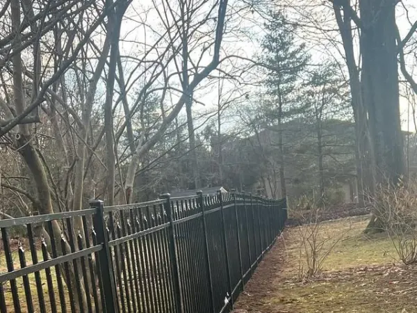 Black Aluminum Ornamental Fence — Wooded Property Line