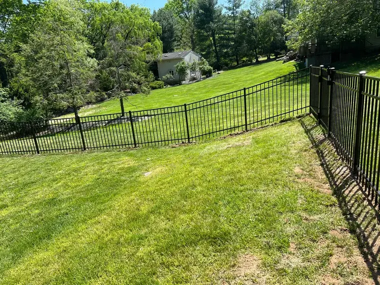 Chain Link on a Large Lot