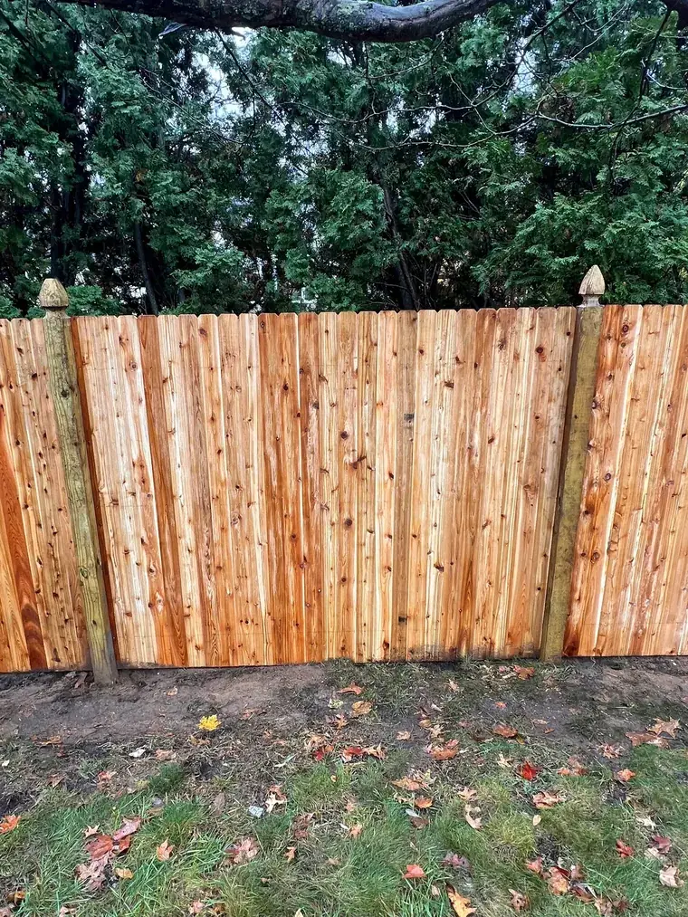Cedar Board Fence