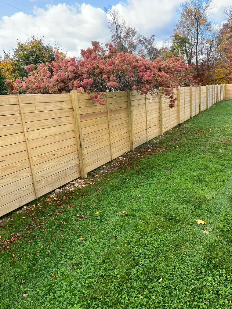 Cedar Fence Under a Red Maple