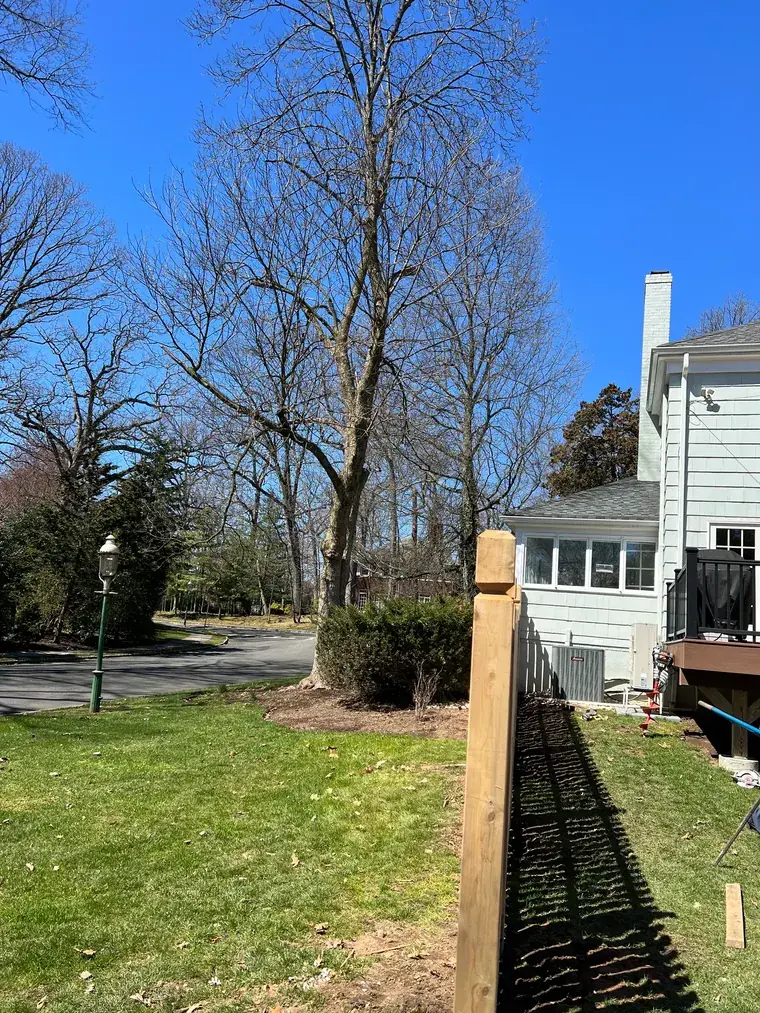 Cedar and Aluminum on One Boundary